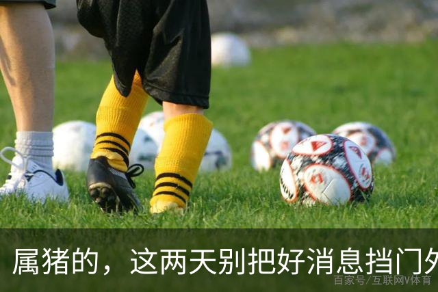属猪的，这两天别把好消息挡门外