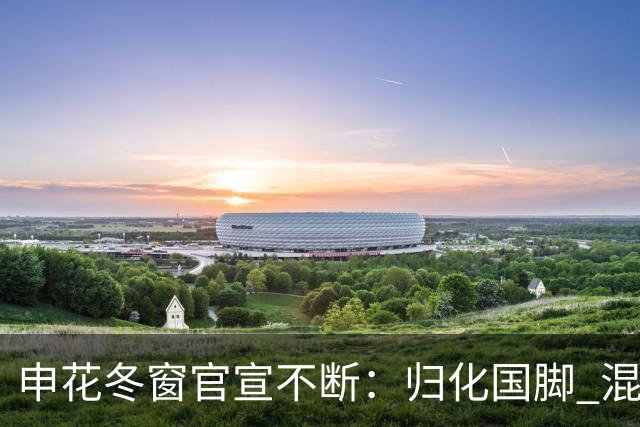 申花冬窗官宣不断：归化国脚 混血前锋 教练组有新人